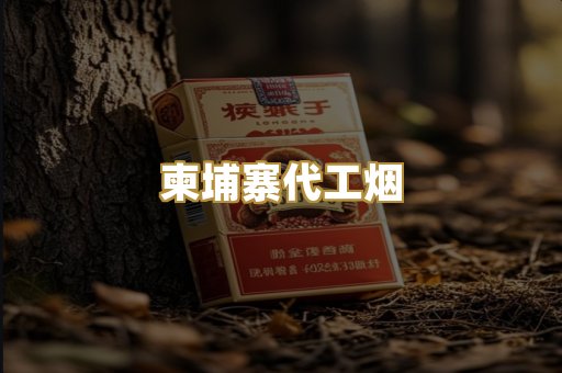 福建云霄精仿